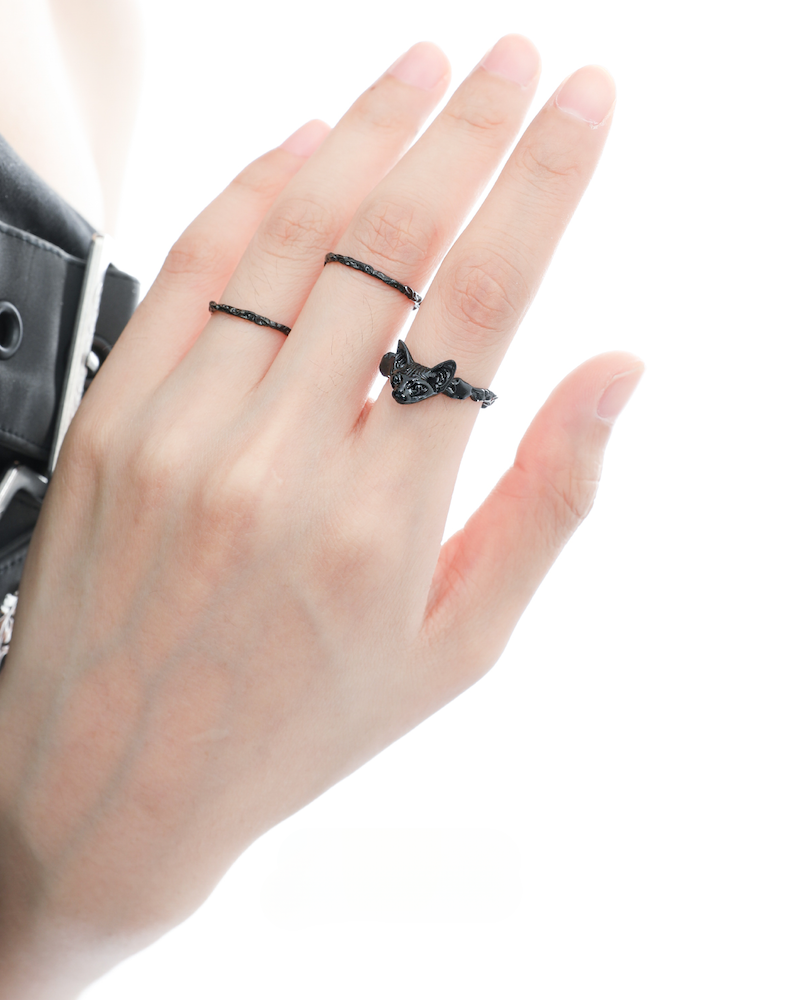 Peek Into The Cat Ring01